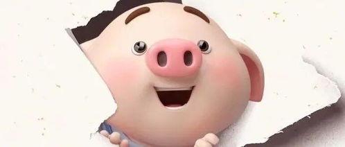 抖音网红粉色的猪吃瓜,揭秘网红圈幕后故事