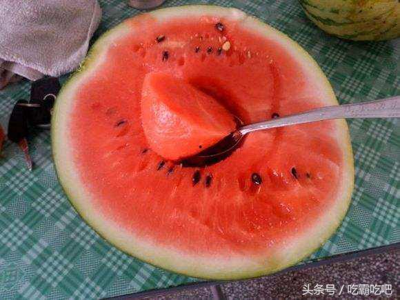 吃瓜吃网,揭秘网络时代的娱乐盛宴