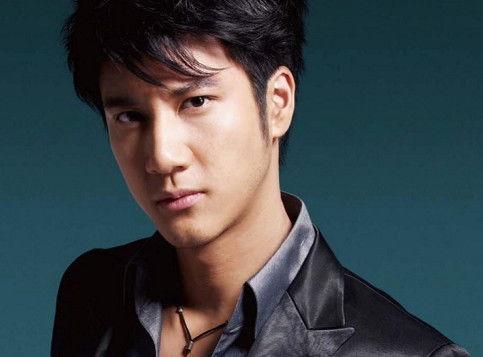 吃瓜网红王力宏简介图片