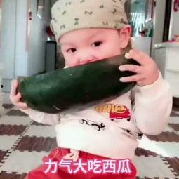 小鑫网红吃瓜视频大全,揭秘娱乐圈幕后故事