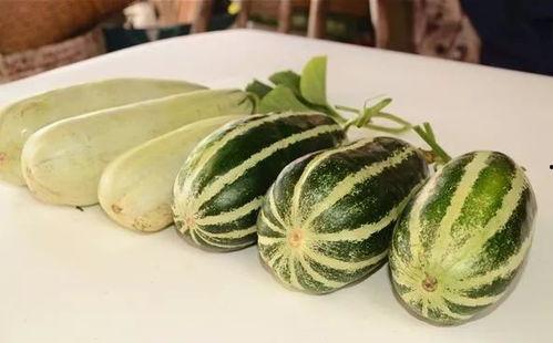 各种网红爆料吃瓜在线观看