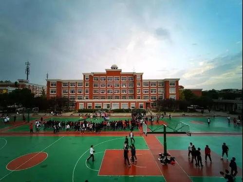 上海中学吃瓜网,揭秘校园热点，畅谈青春故事